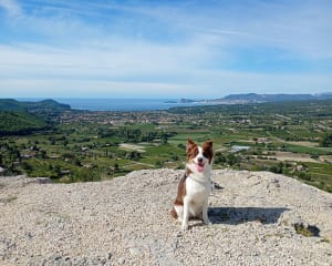 Petit tour à La Cadière d'Azur et rando verdure - Damien - 2