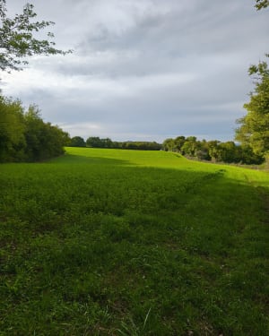 Pougues-Garchizy, campagne et lavoirs - Sarah - 4