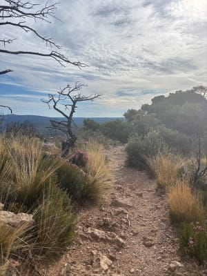Saint-Guilhem-le-Désert, Max Nègre, forestière des Plos - Cindy  - 12
