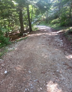 Balade du Rieufroid au Mont Serein - Jacques - 6