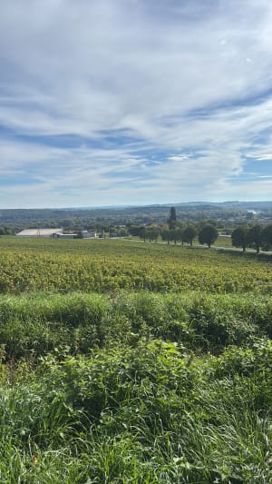 Boucle au pied de Sancerre - Cindy - 4