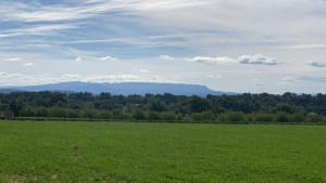 De Saint-Martin-de-la-Brasque, point à la vigne - Albane - 2