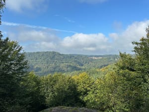 Balade ludique à Neuwiller-lès-Saverne et essences boisées - Gabriel - 2