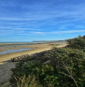 Baie de Wissant et paradis pour les oiseaux - FRANCOIS - 10