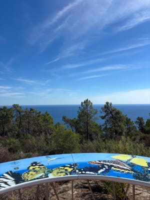 Miramar par le circuit de l'Esquillon et vue sur mer - Miramar - 6