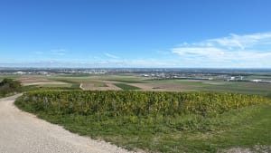 Montgueux à travers champs - Macarena - 2