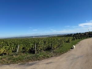 Montgueux à travers champs - Macarena - 3