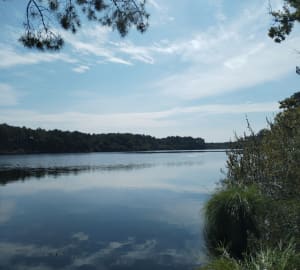 Petit Run dans les bois - Moliets et Maa - Corinne - 9