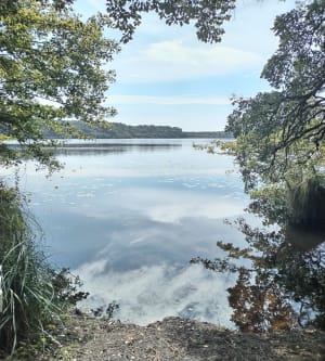 Petit Run dans les bois - Moliets et Maa - Corinne - 8