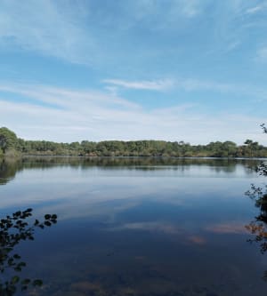 Petit Run dans les bois - Moliets et Maa - Corinne - 11