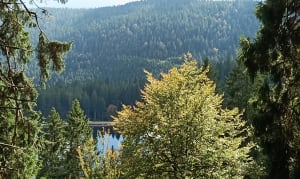 Boucle entre le lac du Forlet et le lac Vert - Willy - 2