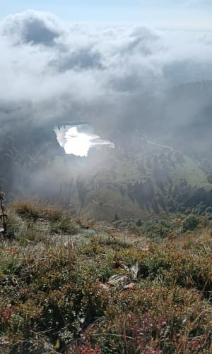 Boucle entre le lac du Forlet et le lac Vert - Willy - 3
