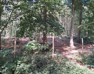Roucourt et la grotte d'Erchin - Peggy - 9