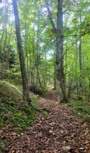 Randonnée en passant par le col de la Croix de Marchampt - marie - 10