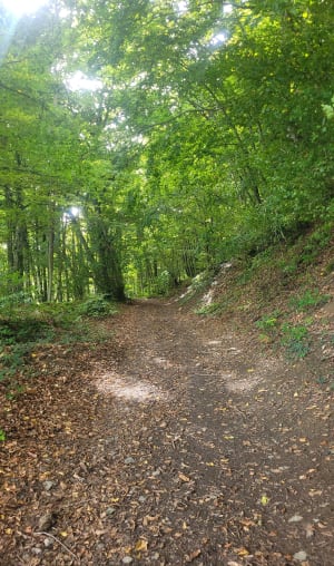 Randonnée en passant par le col de la Croix de Marchampt - marie - 7