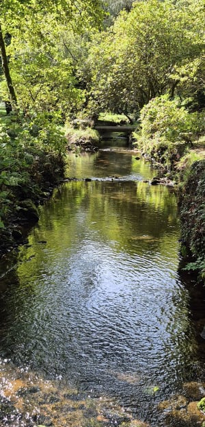 Promenade de Notre-Dame de Lourdes - Christophe  - 3