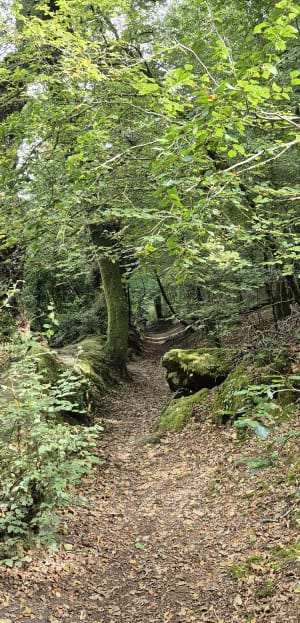Promenade de Notre-Dame de Lourdes - Christophe  - 5