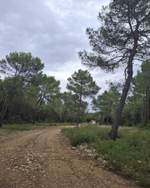 Sentier des Capitelles à Bernis - SYLVIE - 6