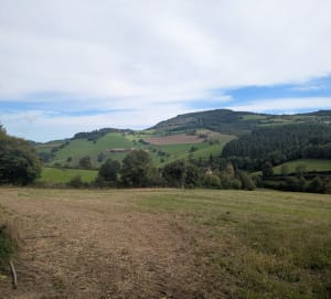 Avenas et la Croix de Rochefort - Yannick - 8