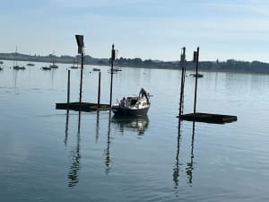 Plouër-sur-Rance, à la découverte des méandres de la Rance - Virginie  - 7