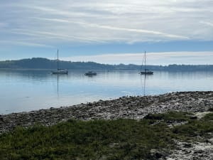 Plouër-sur-Rance, à la découverte des méandres de la Rance - Virginie  - 8