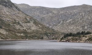 Etang Bassies - NADINE - 4