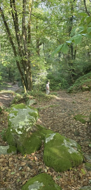 Boucle en forêt de Méréville - Farid - 2