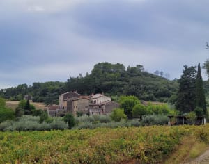 Petit Bosquet - Château Tornac - FANNY - 5