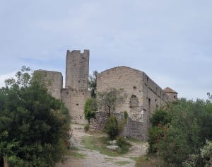 Petit Bosquet - Château Tornac - FANNY - 6