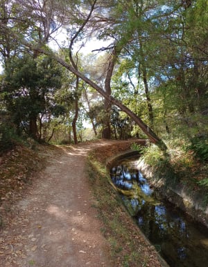Au fil de la Siagne et son canal à Mouans-Sartoux - Isabelle - 2