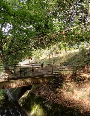 Au fil de la Siagne et son canal à Mouans-Sartoux - Isabelle - 3