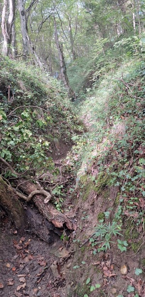 Balade à Chaponnay et Bois de Sarvanay - Xavier - 8