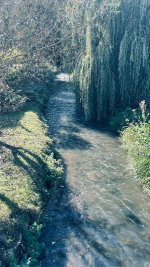 Sortie nature ‍vers Crugny - Cathy - 5