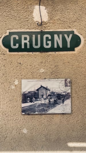 Sortie nature ‍vers Crugny - Cathy - 6