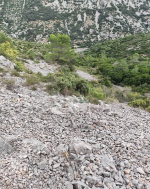 Saint-Guilhem-le-Désert, Max Nègre, forestière des Plos - Pascal - 8