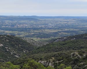Saint-Guilhem-le-Désert, Max Nègre, forestière des Plos - Pascal - 9