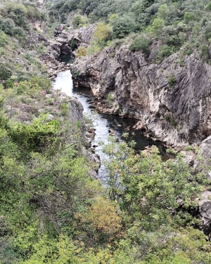 Saint-Guilhem-le-Désert, Max Nègre, forestière des Plos - Pascal - 10