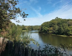 Balade sur les hauteurs de la Retenue de l'Angle Guignard - Laetitia - 2