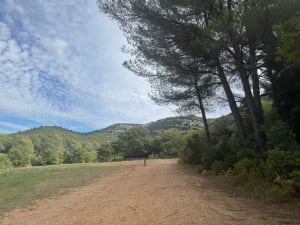 Randonnée dans le parc départemental de Pichauris - Pauline - 2