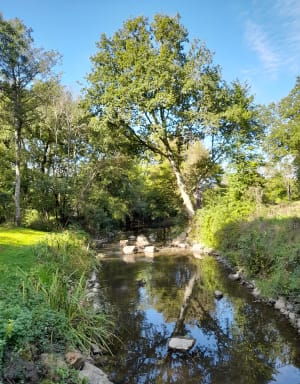 De l'île de la Merlerie au moulin de Rambourg - Muriel - 4