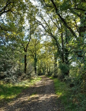 De l'île de la Merlerie au moulin de Rambourg - Muriel - 5