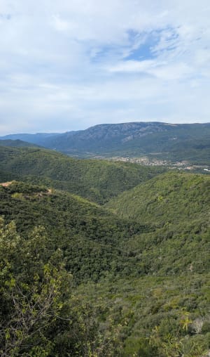 Randonnée ombragée à Les Aires et points de vue à 360° - Cyril - 2
