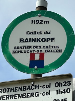 Breitzouse Trail (Vogezenkammen) - clotilde - 4