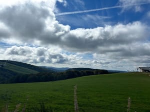 Breitzouse Trail (Vogezenkammen) - clotilde - 5