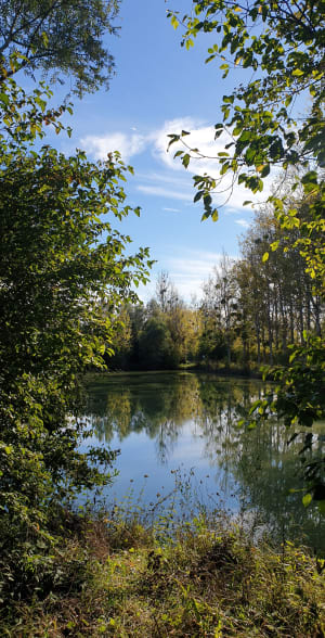 Les étangs à Couternon - Sam - 3