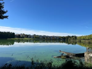 Les étangs de Vaires à Lognes - Mariana - 8