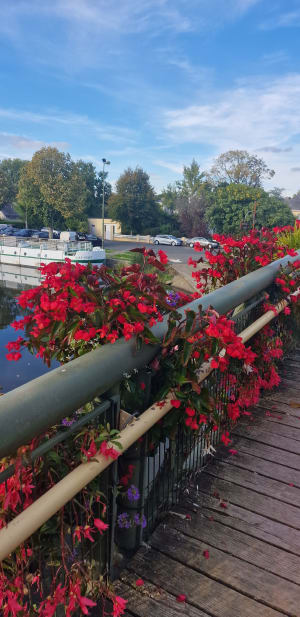 Belle balade entre Blain et Plessé au bord du Canal de Nantes à Brest - denis - 7