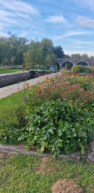 Belle balade entre Blain et Plessé au bord du Canal de Nantes à Brest - denis - 8