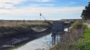 À vélo sur des chemins de mer et de marais à Noirmoutier - Dominique - 7