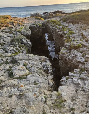Balade entre mer et marais à Batz-sur-Mer - Batz-sur-Mer - 5